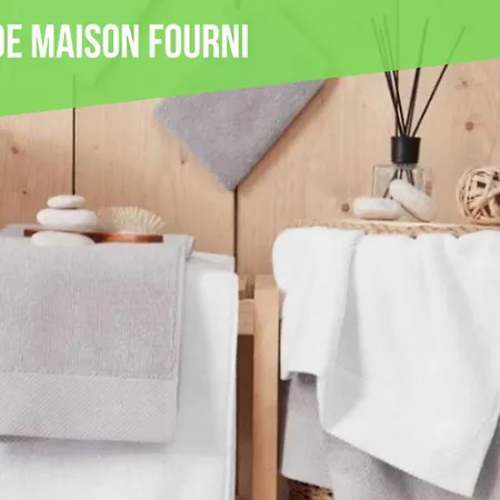 Faubourg 6 D'isle Cosy Proche Gare Iut アパート *